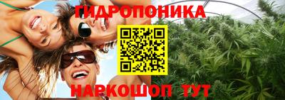 тгк Кинель