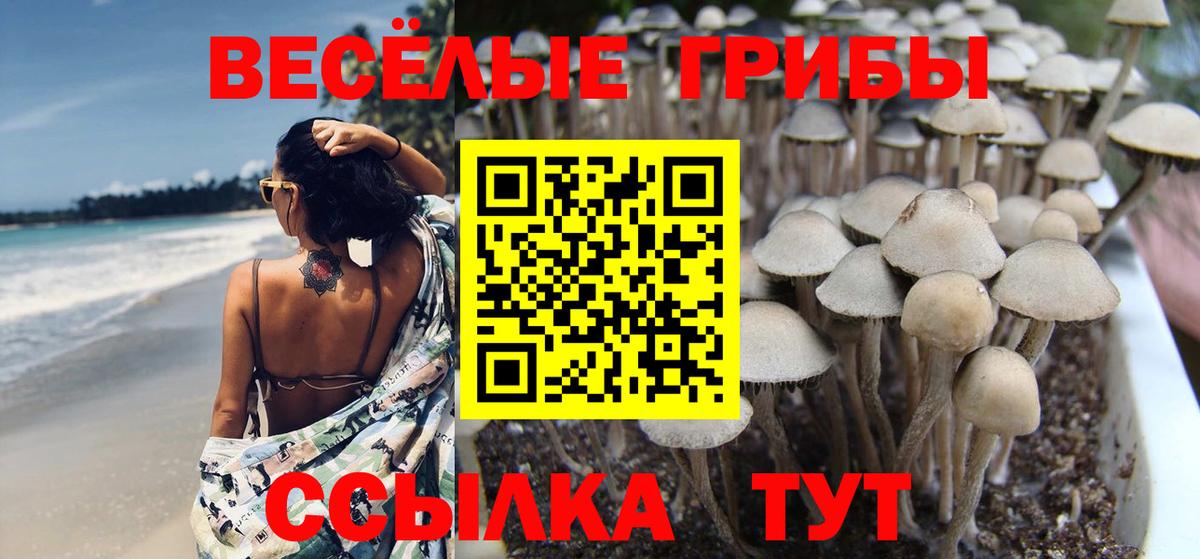 Псилоцибиновые грибы прущие грибы Морозовск